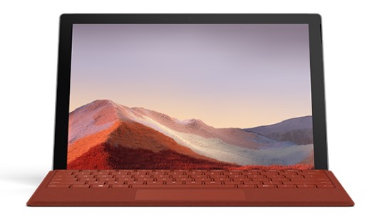赵西垸林场清洁和维护 Surface